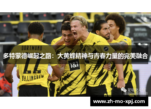 多特蒙德崛起之路：大黄蜂精神与青春力量的完美融合