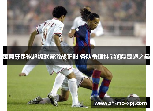 葡萄牙足球超级联赛激战正酣 各队争锋谁能问鼎葡超之巅